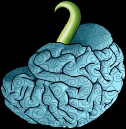 Nomi Nomi no Mi | Devil Fruit Encyclopedia