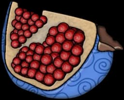 Beri Beri no Mi | Devil Fruit Encyclopedia