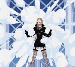 Awa Awa no Mi | Devil Fruit Encyclopedia