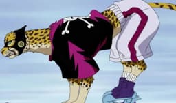 Neko Neko no Mi, Model: Cheetah | Devil Fruit Encyclopedia