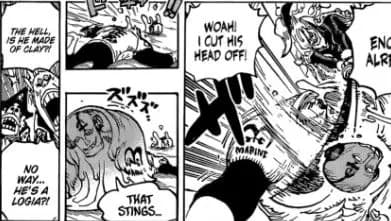 Gunyo Gunyo no Mi | Devil Fruit Encyclopedia