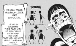 Mane Mane no Mi | Devil Fruit Encyclopedia