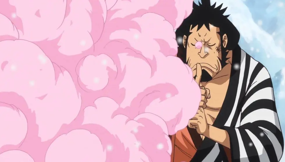 Fuku Fuku no Mi | Devil Fruit Encyclopedia