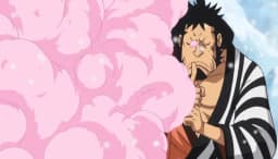 Fuku Fuku no Mi | Devil Fruit Encyclopedia