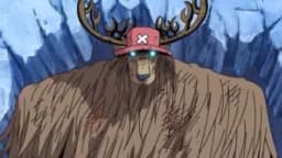 Hito Hito no Mi | Devil Fruit Encyclopedia