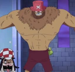 Hito Hito no Mi | Devil Fruit Encyclopedia