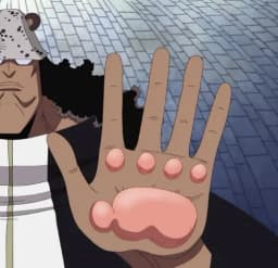 Nikyu Nikyu no Mi | Devil Fruit Encyclopedia