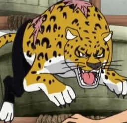 Neko Neko no Mi, Model: Leopard | Devil Fruit Encyclopedia