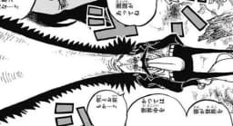 Nomi Nomi no Mi | Devil Fruit Encyclopedia