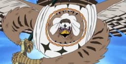 Tori Tori no Mi, Model: Falcon | Devil Fruit Encyclopedia