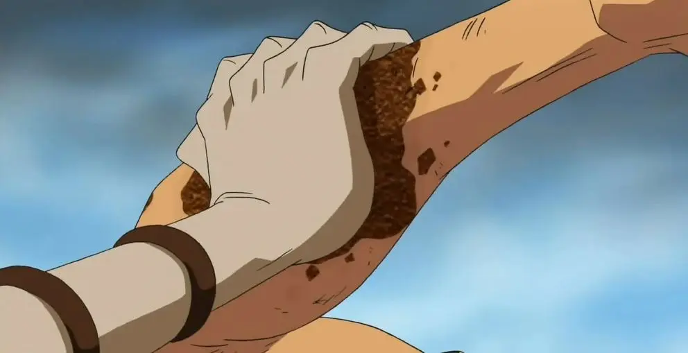 Sabi Sabi no Mi | Devil Fruit Encyclopedia