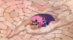 Sui Sui no Mi | Devil Fruit Encyclopedia