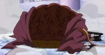 Kame Kame no Mi | Devil Fruit Encyclopedia