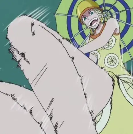 Kiro Kiro no Mi | Devil Fruit Encyclopedia