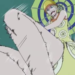 Kiro Kiro no Mi | Devil Fruit Encyclopedia