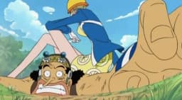 Kiro Kiro no Mi | Devil Fruit Encyclopedia