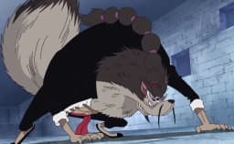 Inu Inu no Mi, Model: Wolf | Devil Fruit Encyclopedia