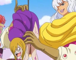 Shibo Shibo no Mi | Devil Fruit Encyclopedia